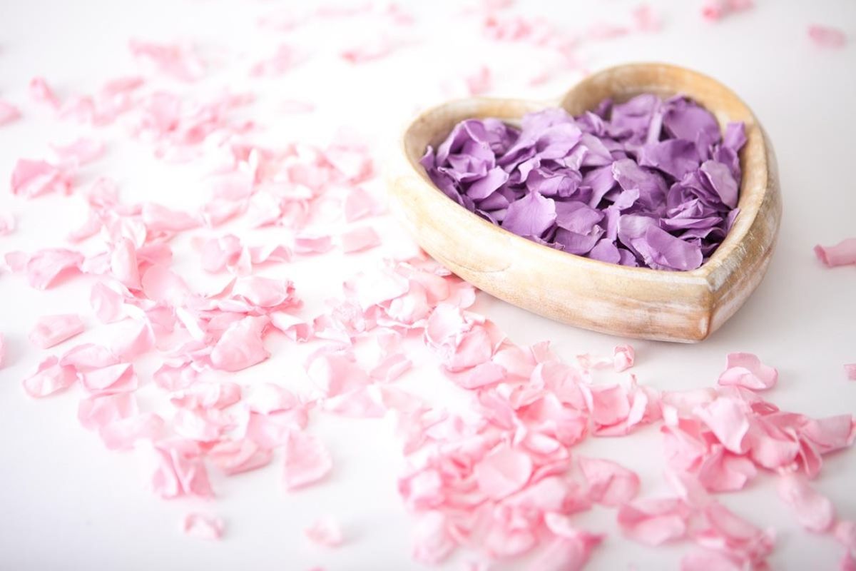 Wedding Day Ceremony Accessories - Fresh Flower Petals