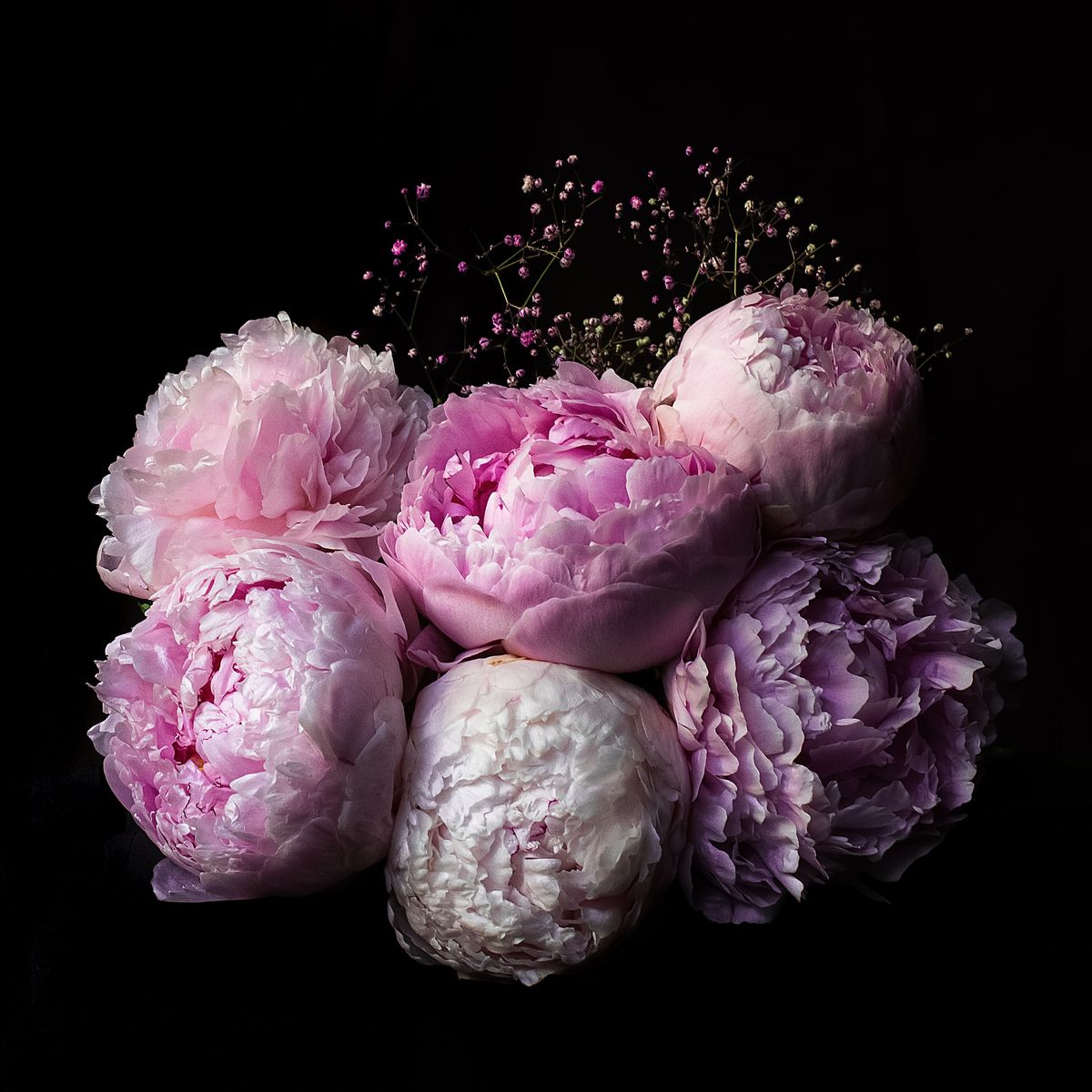 Wedding Flowers and their Possible Applications:Peonies