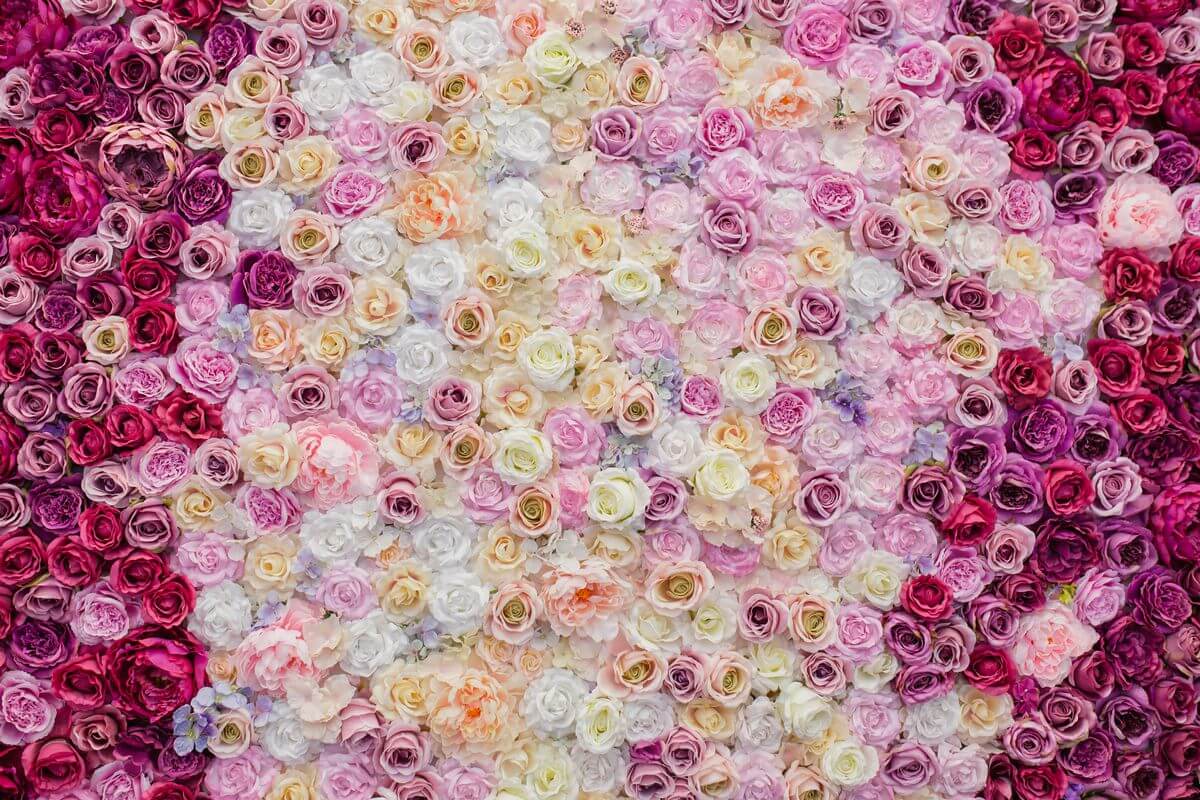 Wedding Flowers and their Possible Applications:Roses