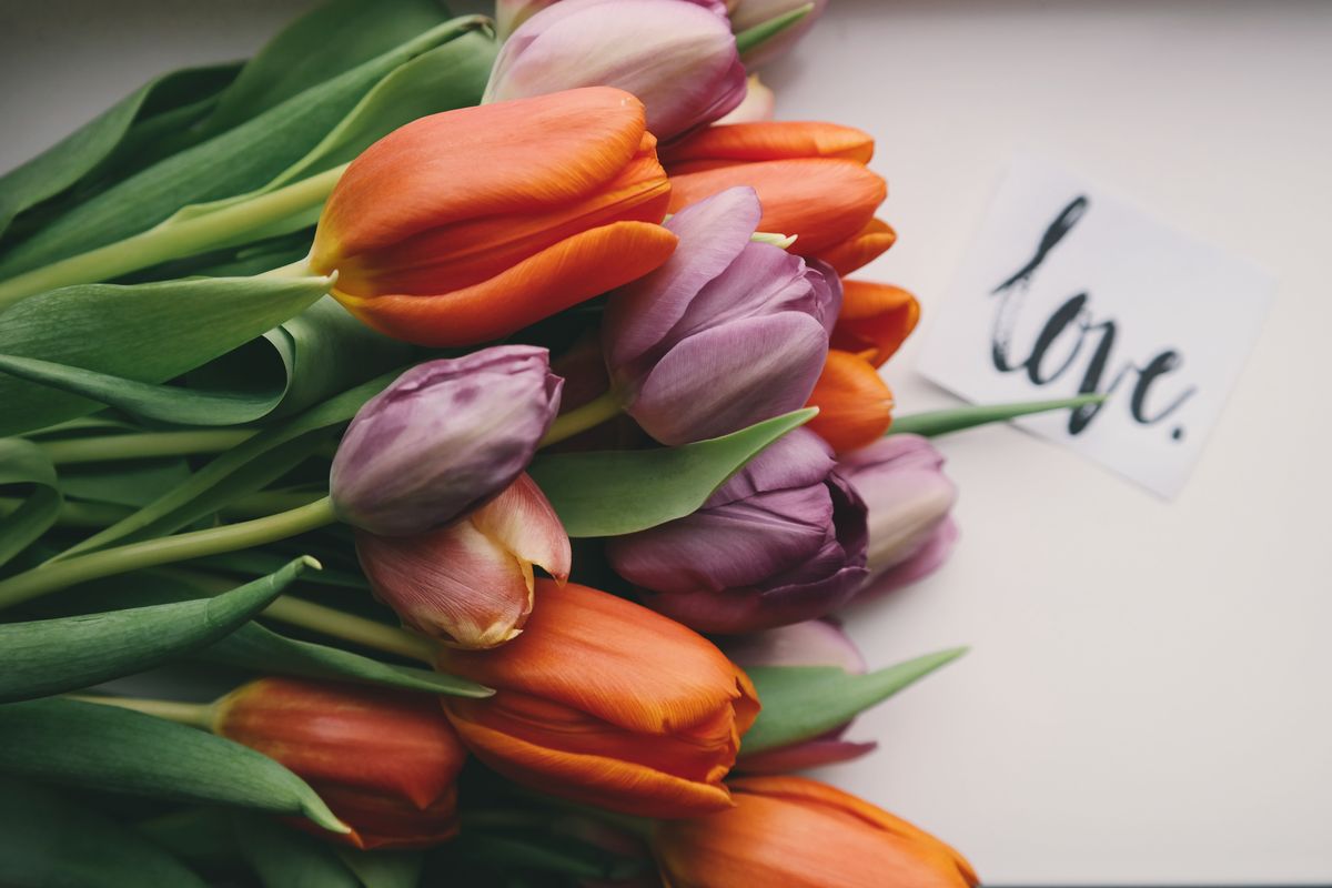 Wedding Flowers and their Possible Applications:Tulips